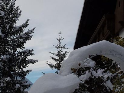 Dezember-Schneekugelbaum.jpg